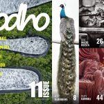 revista dodho