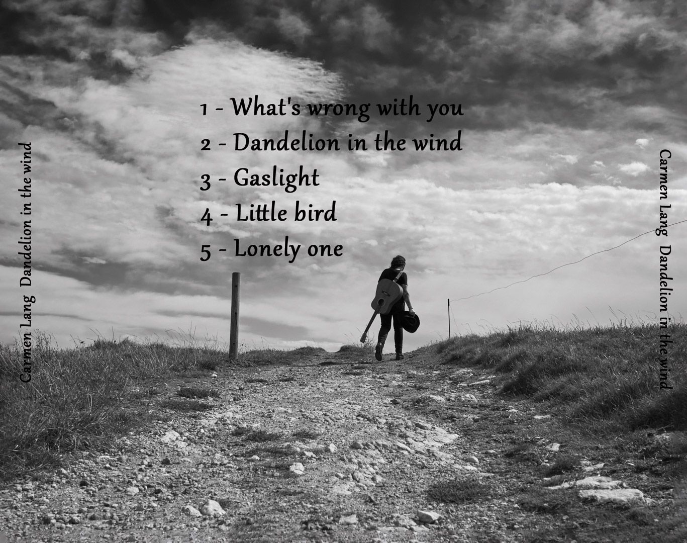 Contraportada Dandelion in the wind