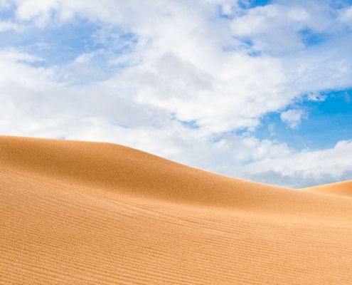 Cursos fotografia primavera verano 2025