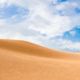 Cursos fotografia primavera verano 2025