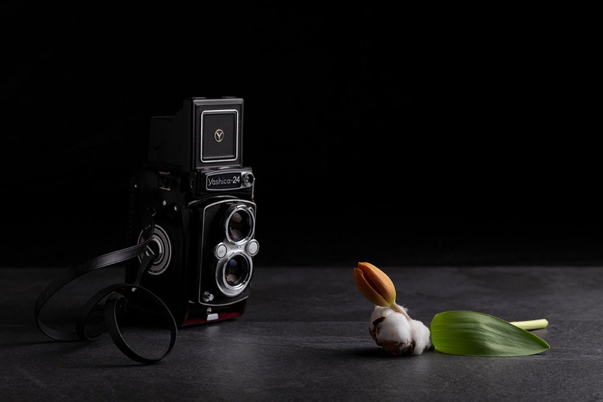 Clases particulares de fotografía en Santander