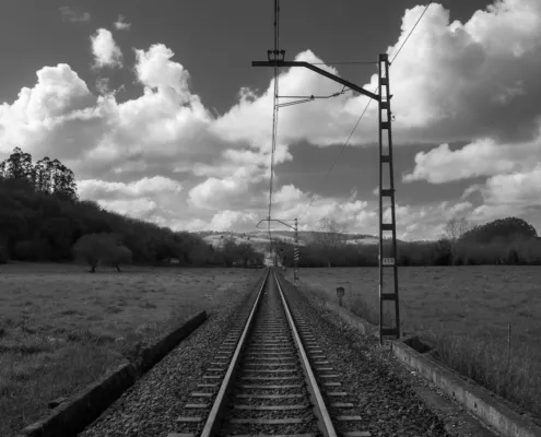 Vías de tren integradas en el paisaje