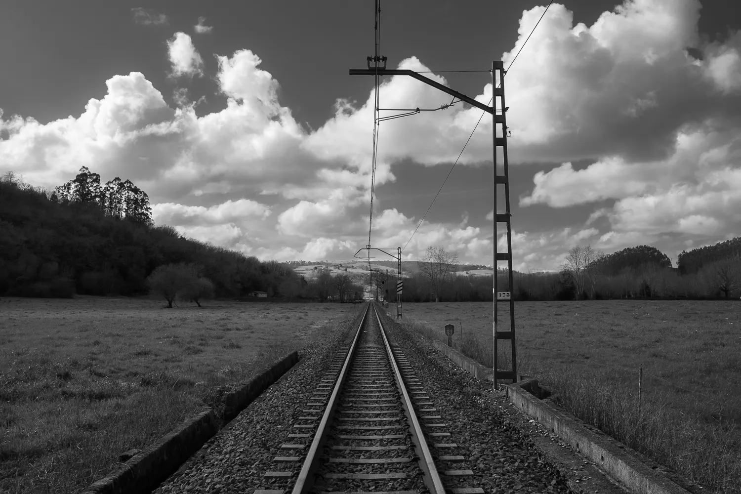 Vías de tren integradas en el paisaje